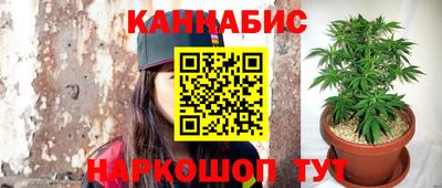 молекула духа Краснодар